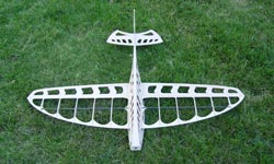 rc 3d fish