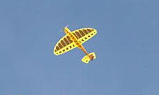marston 3D fish