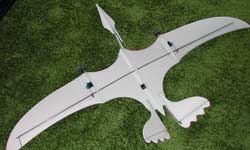 marston foam pterodactyl
