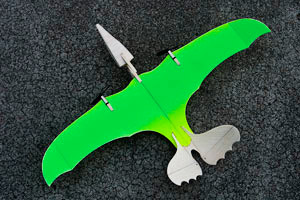 Marston  Micro Pterodactyl