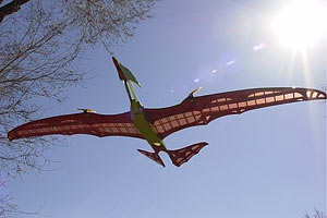 pterodactyl in air